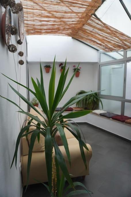 Casa Marcur Santa Cruz Villa Sevilla Dış mekan fotoğraf